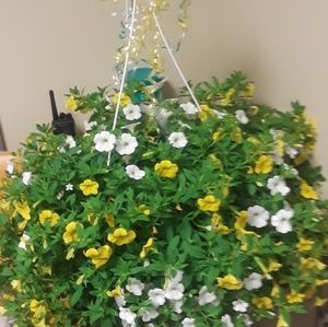 Meet your Posher, Sheila